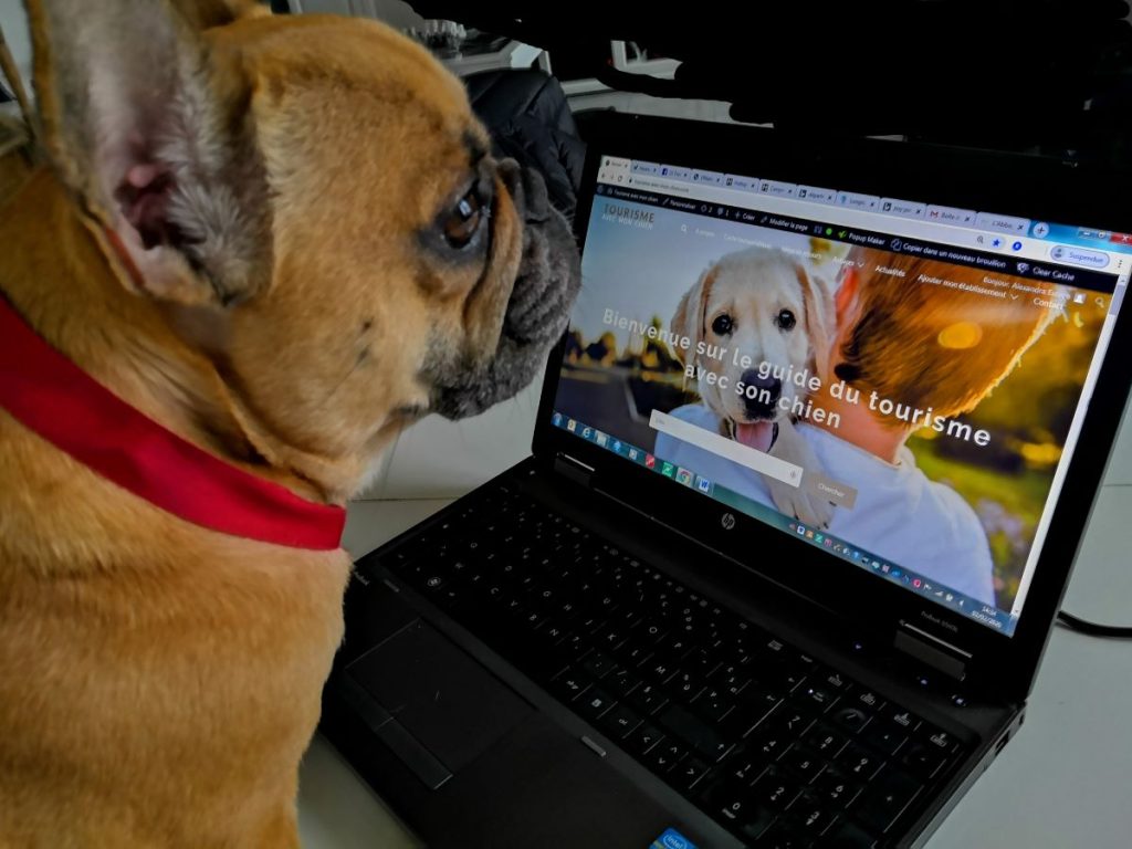 trouver une destination où mon chien sera le bienvenu en france