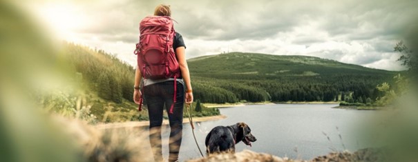 Où randonner dans les plus beaux parcs naturels avec un chien?