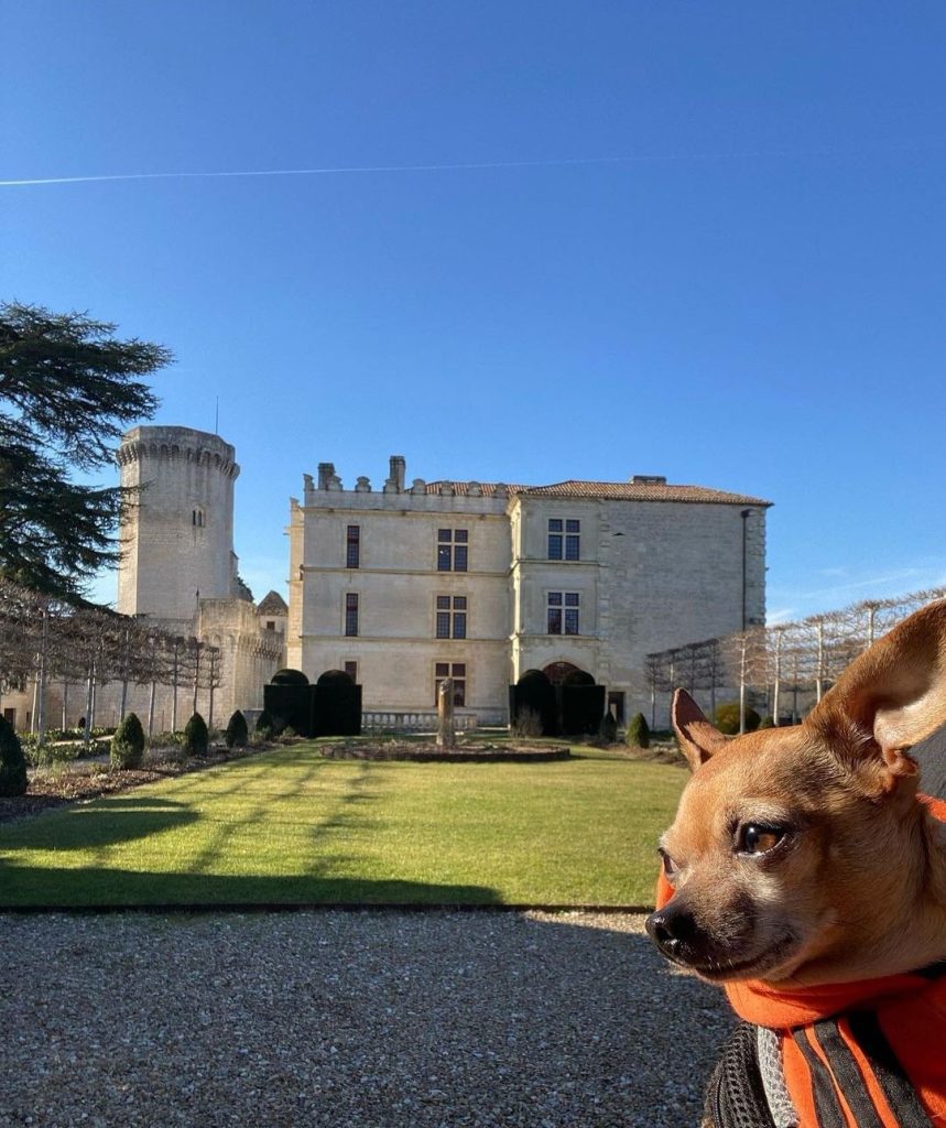 visite château de bourdeilles avec petit chien