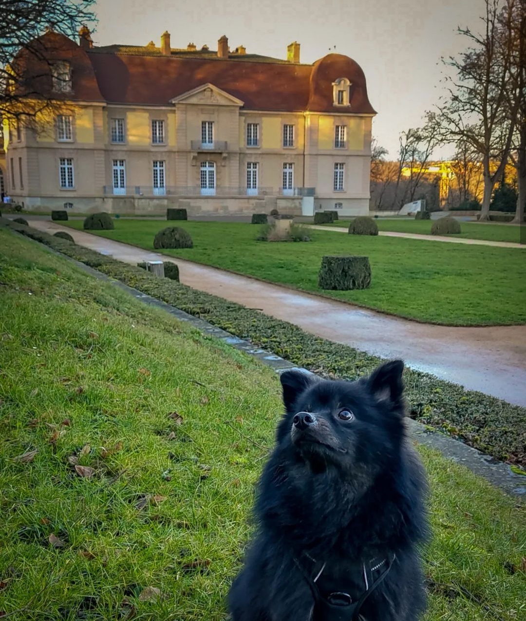 Domaine de Lacroix-Laval parc lyon chien admis