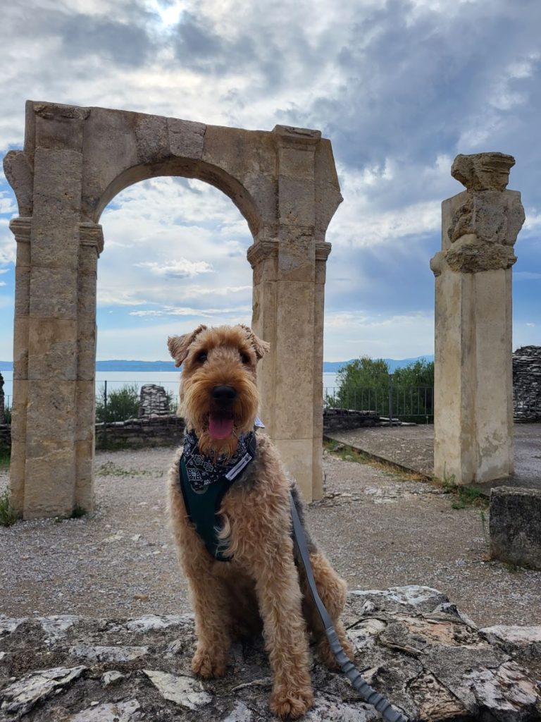 Sirmione road trip avec un chien en italie
