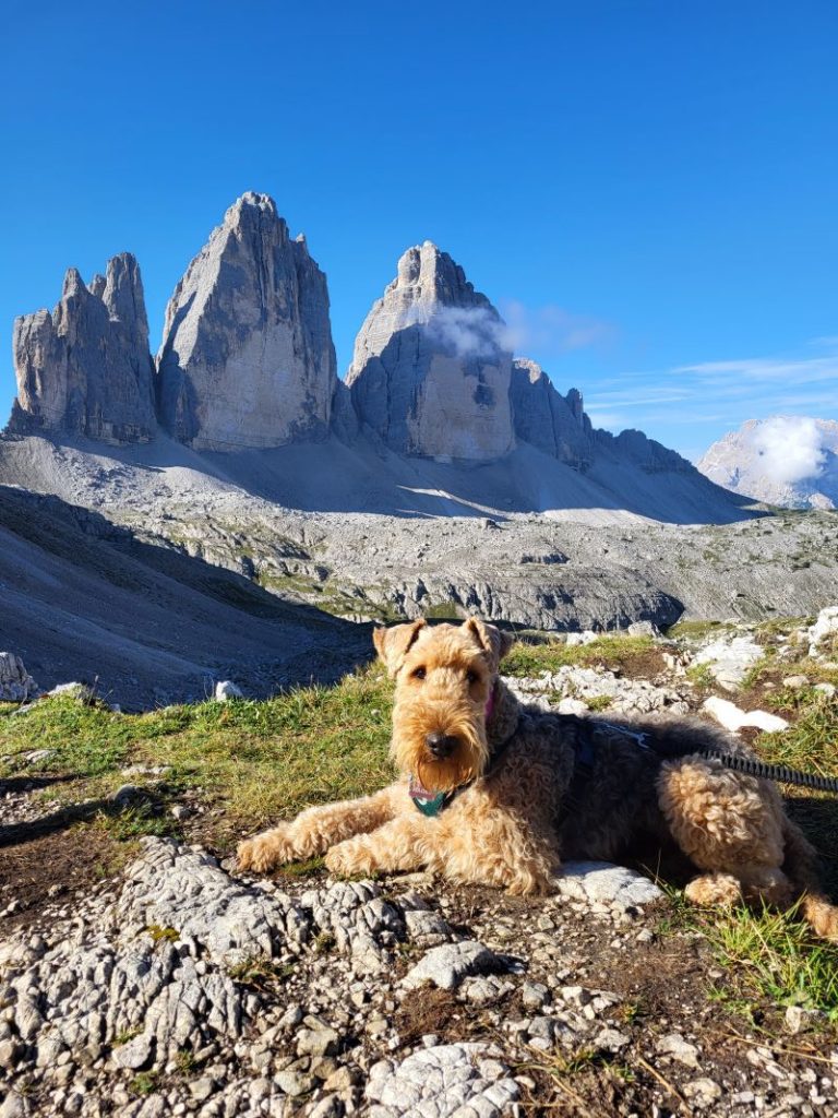 Trois cimes dolomites road trip en italie avec un chien