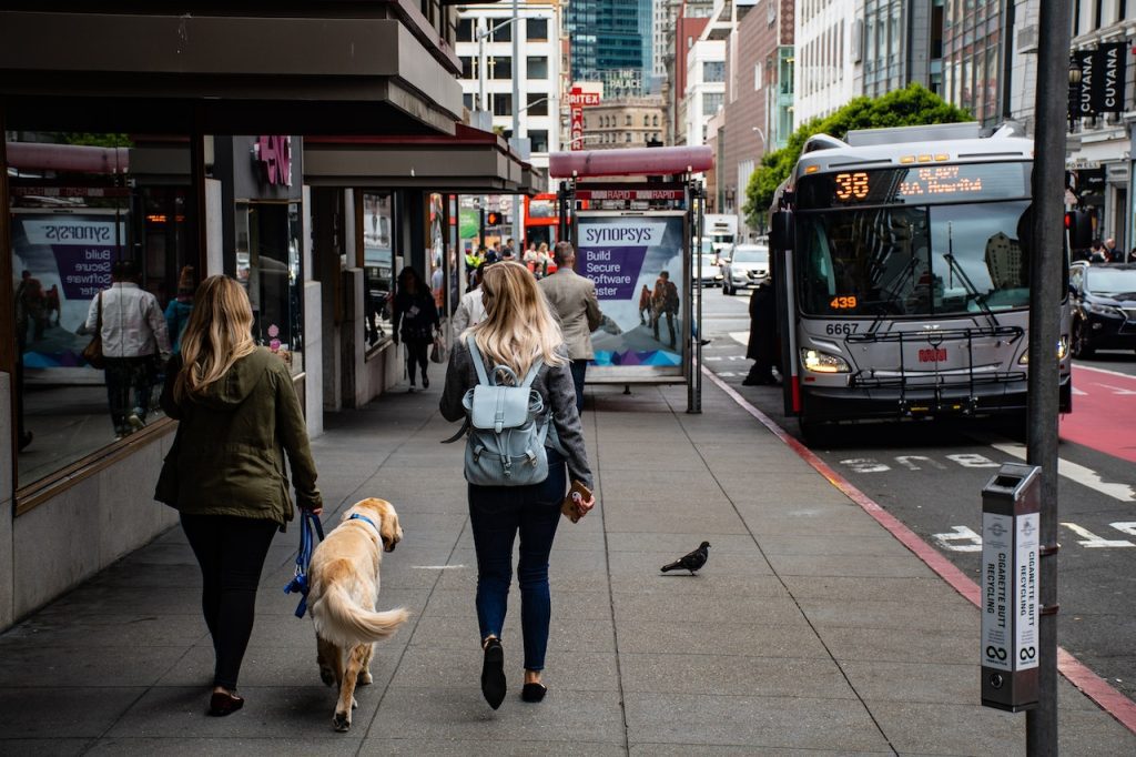 prendre les transports en commun avec un chien conseils