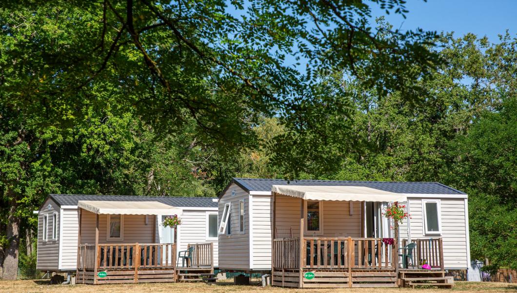 camping qui accepte les chiens dans le cher camping de l'île