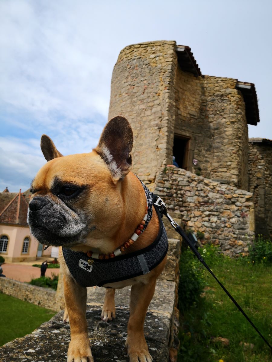 Château de Semur-en-Brionnais