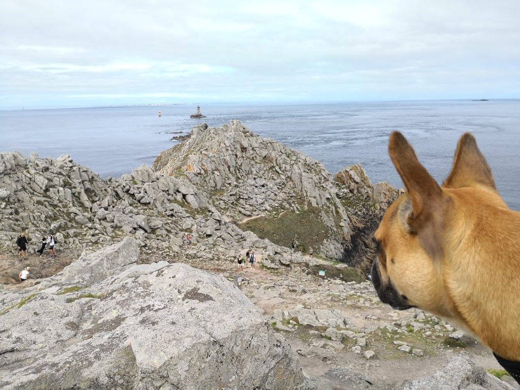 Découvrir le pays Bigouden avec votre chien