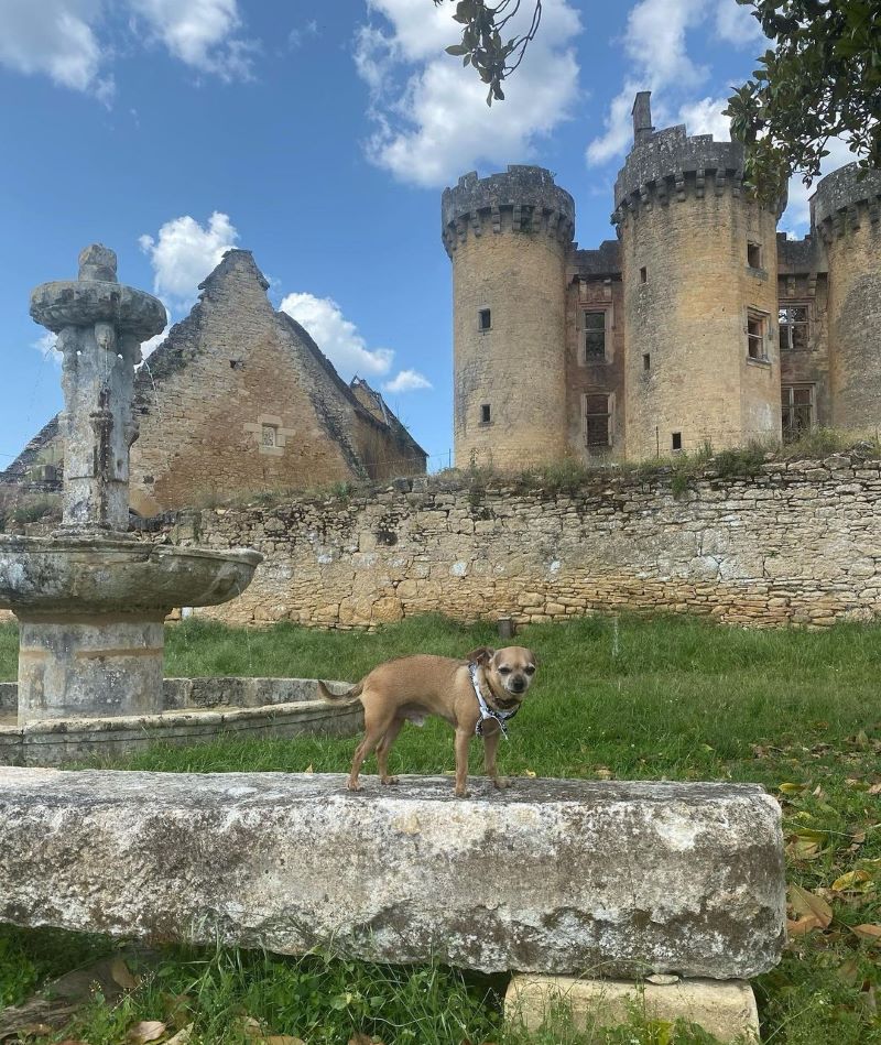 Château le Paluel