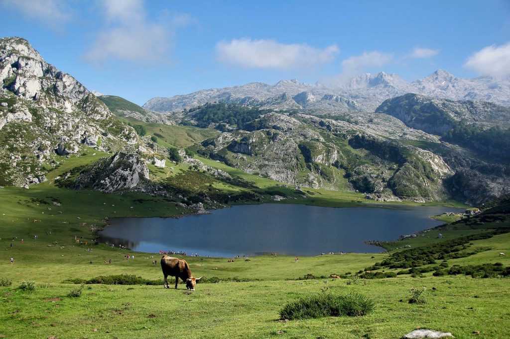 Pyrénées avec son chien