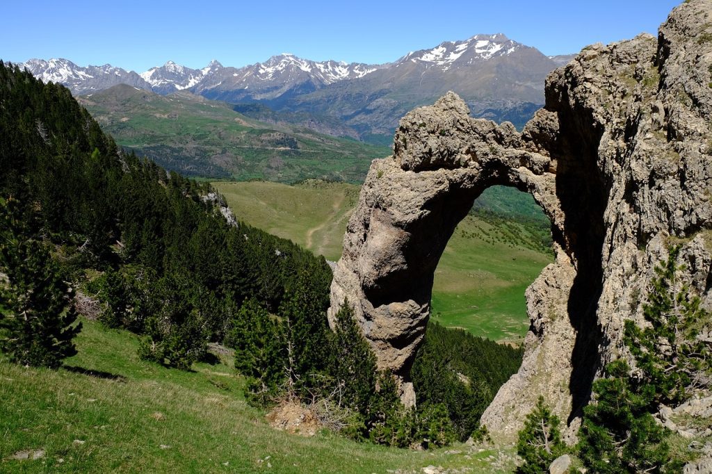 Pyrénées avec son chien