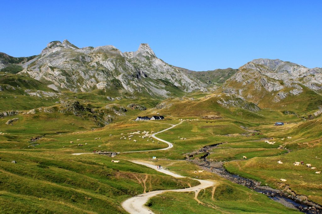 Pyrénées avec son chien