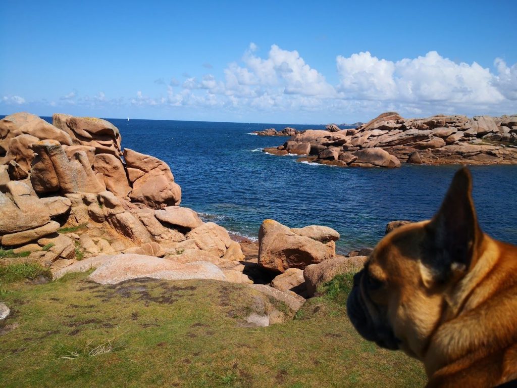 sites touristiques à visiter avec votre chien bretagne