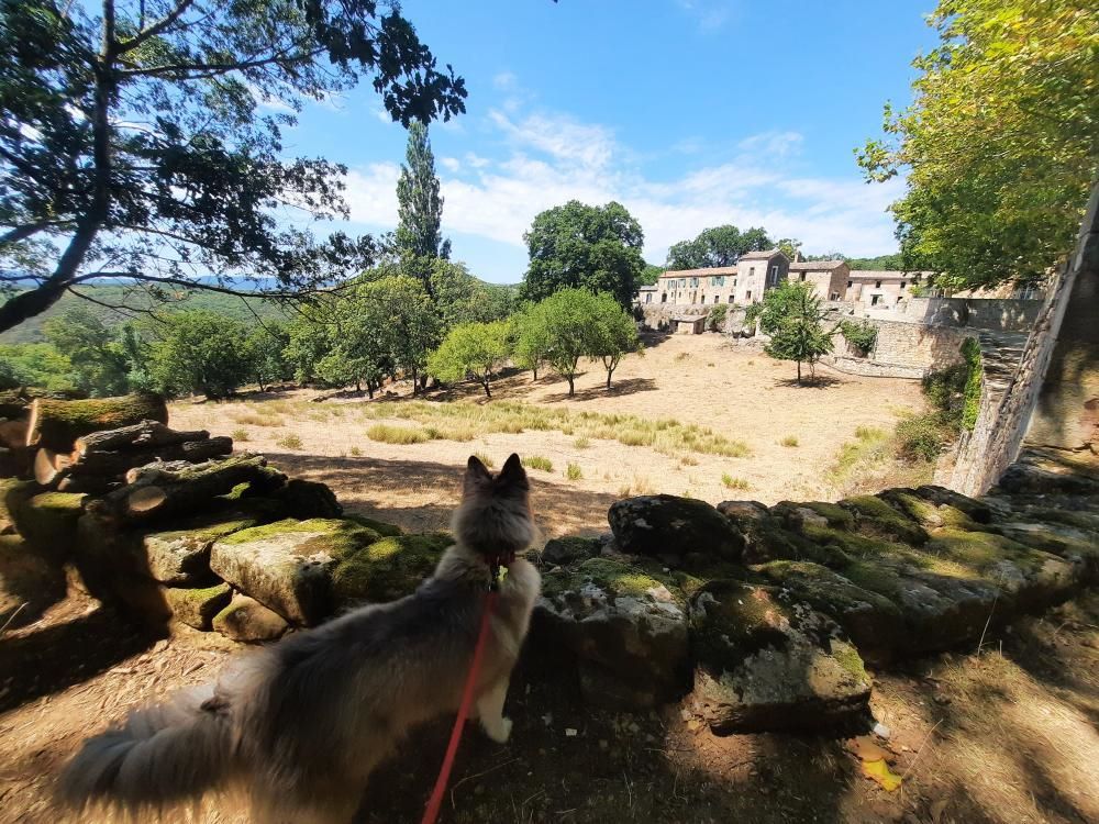 Prieuré Saint Michel de Grandmont chien autorisé