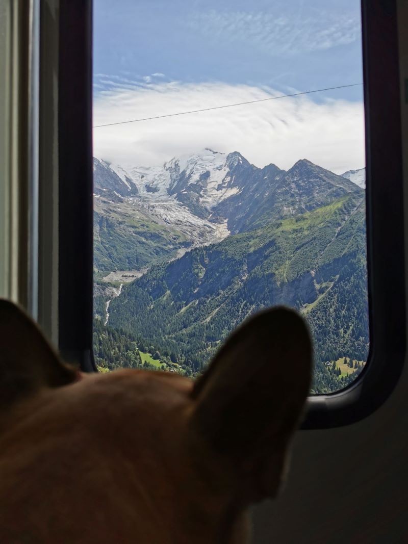 que faire avec un chien au Mont-Blanc