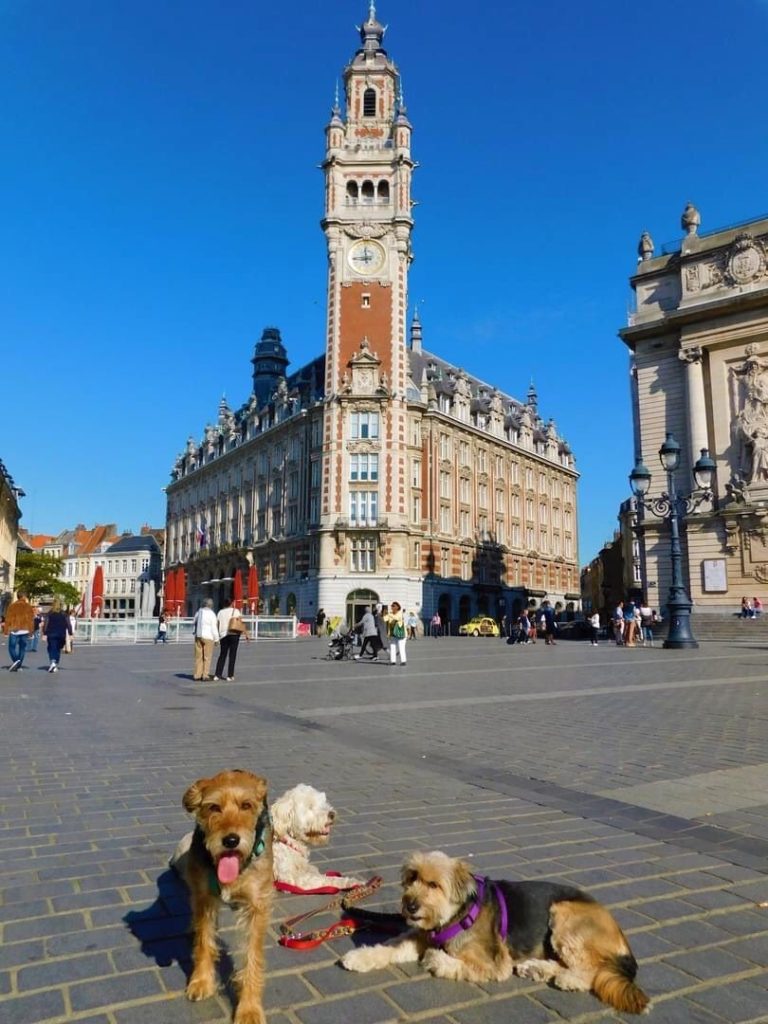 vacances avec chiens les beaux sites du Nord