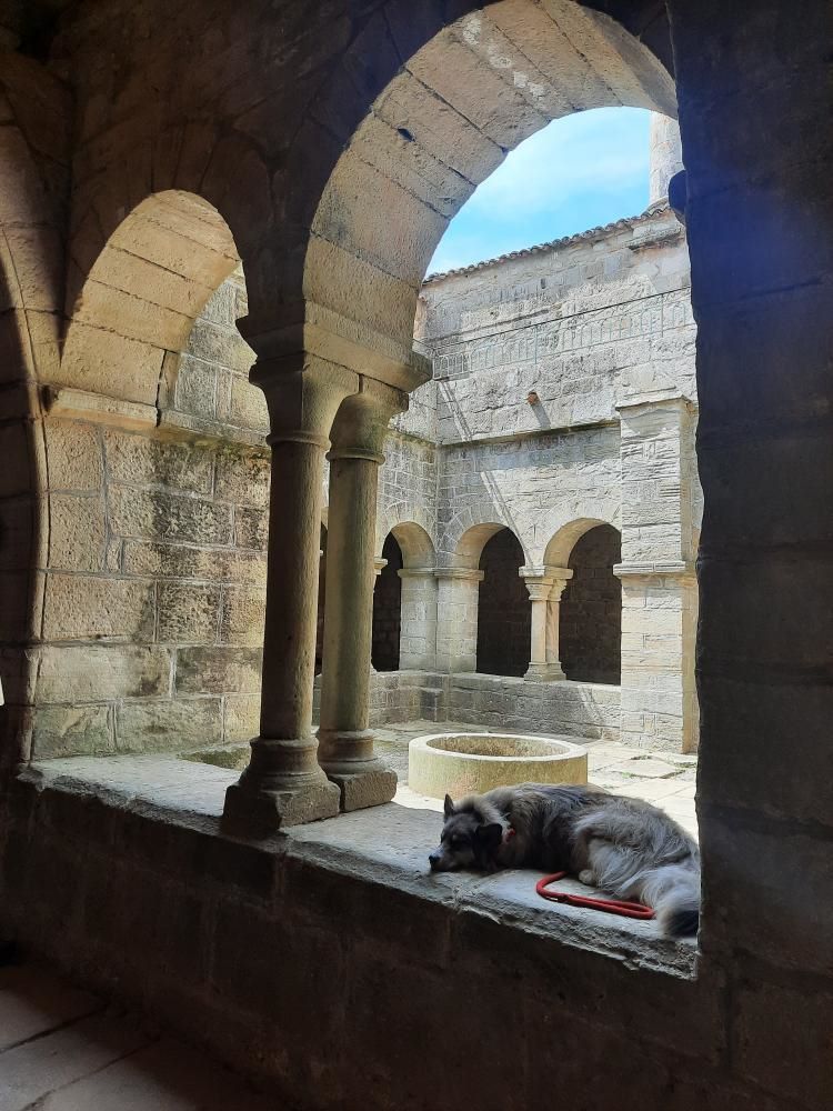 visite du Prieuré Saint Michel de Grandmont avec chien