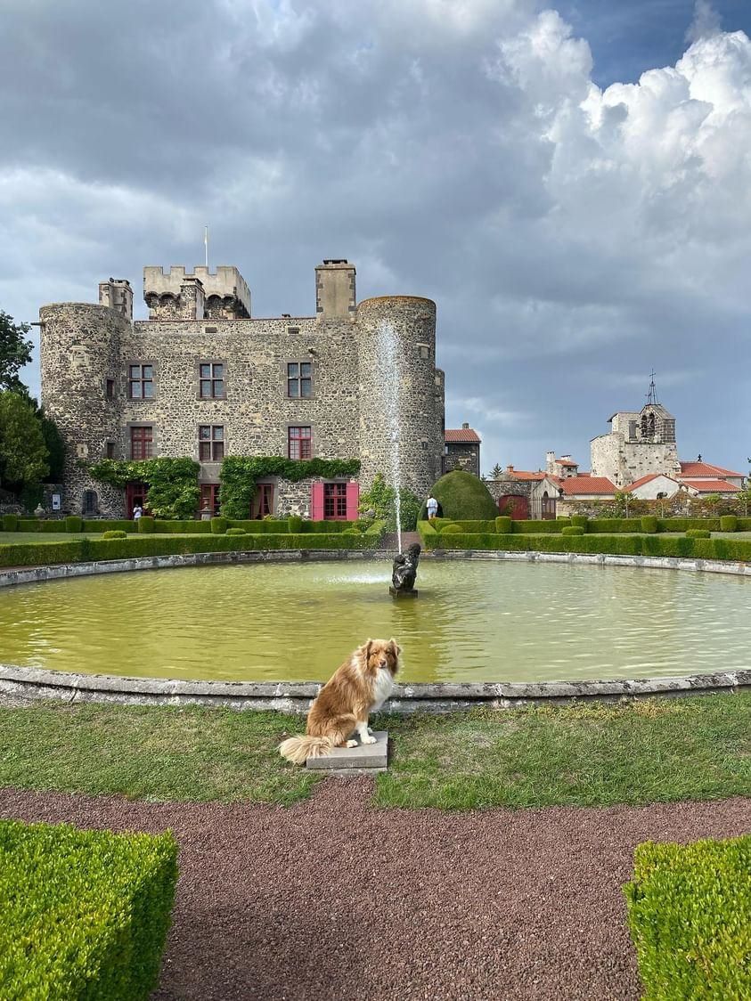 château d'opme chien accepté visite puy de dôme