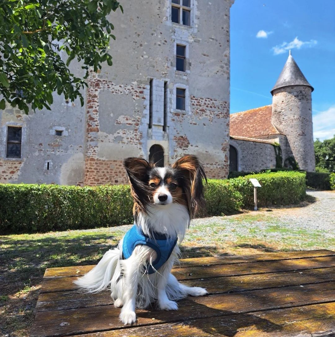 Château du Bouchet