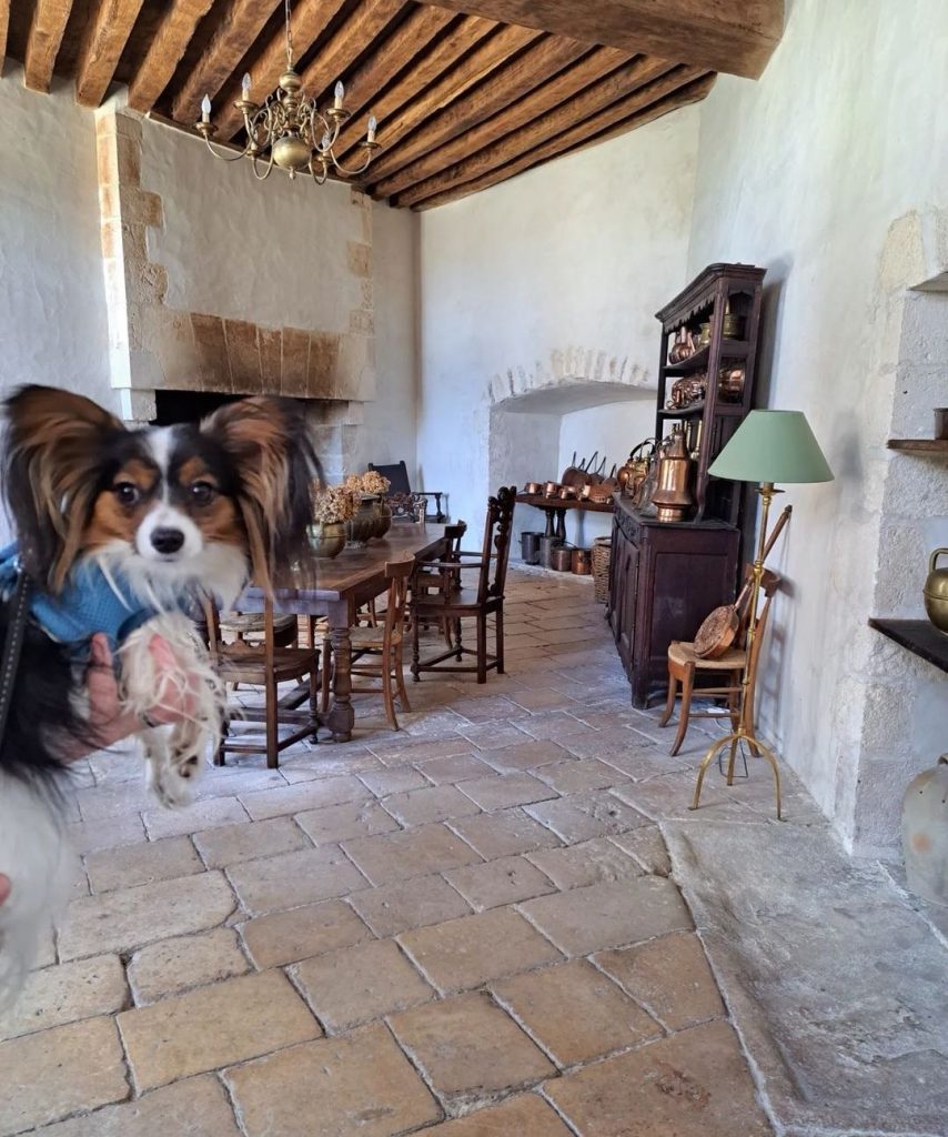 chien qui visite le château du Bouchet