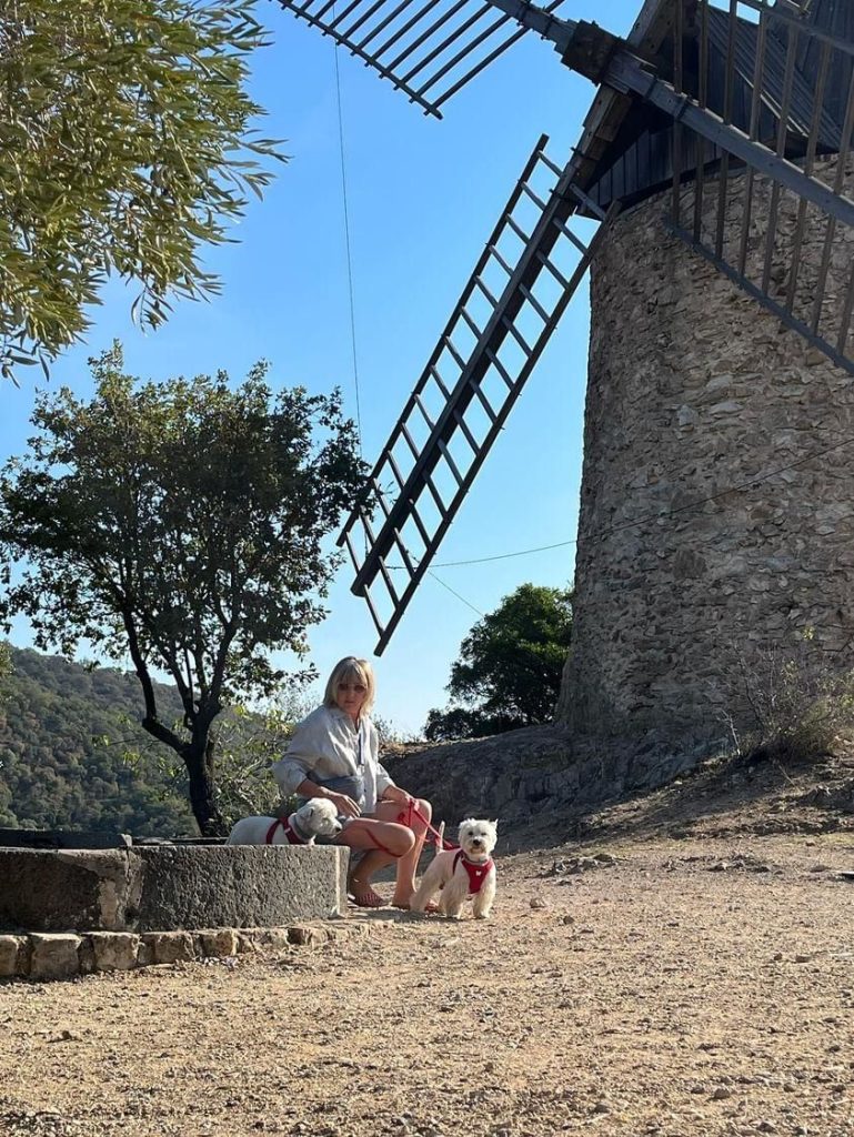 séjour à grimaud avec votre chien