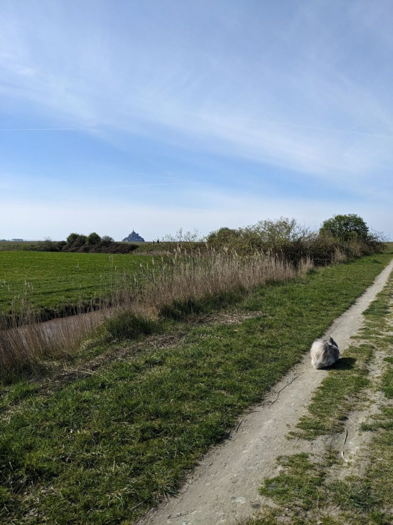 balade à faire au Mont Saint-Michel avec son chien