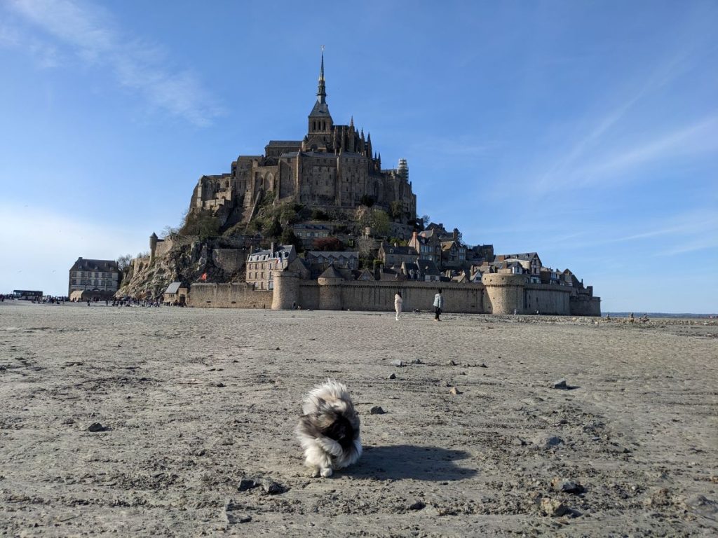 découvrir le Mont Saint-Michel avec un chien