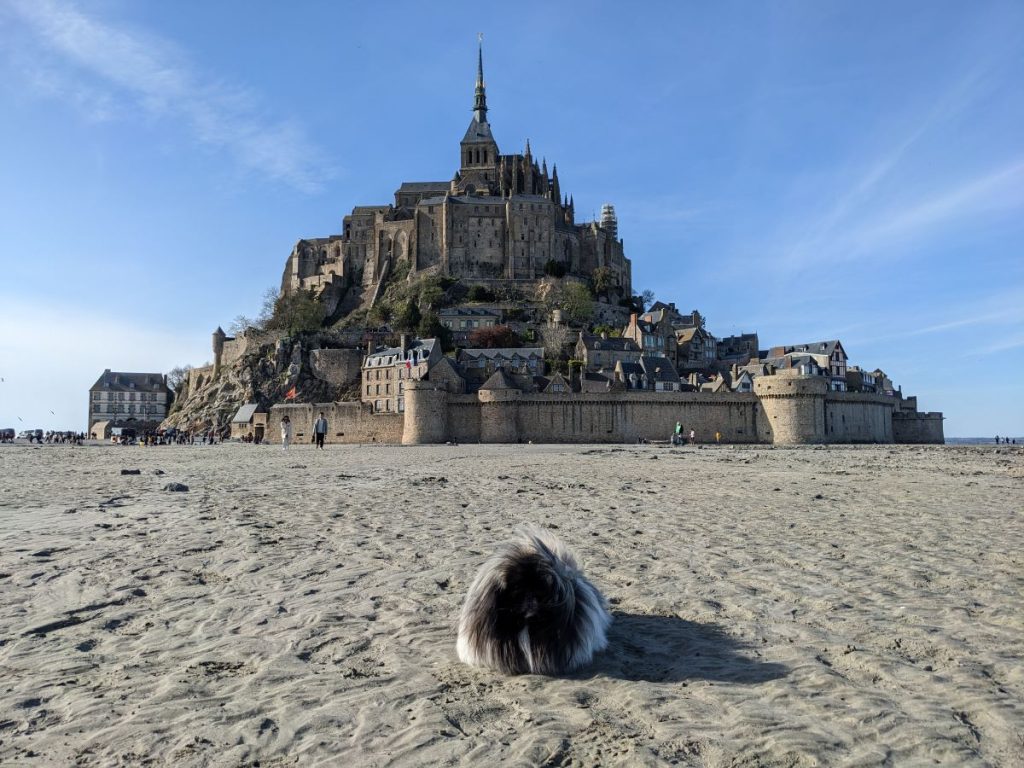 visite du Mont Saint-Michel avec son chien conseils