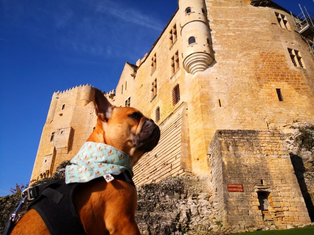 où aller en France avec un chien à la campagne