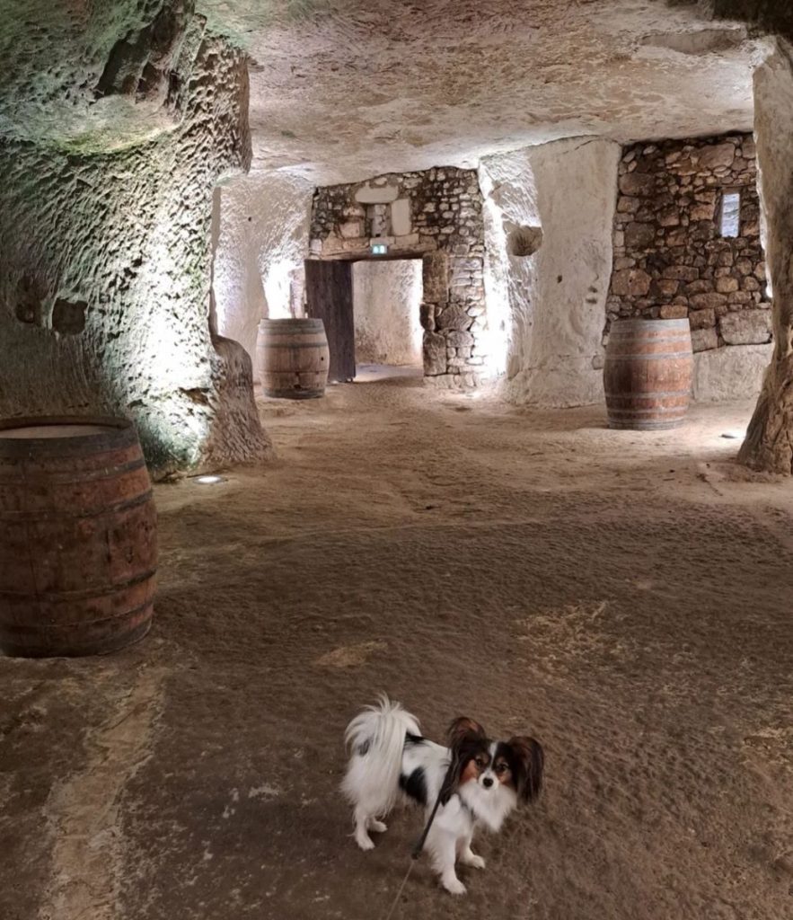 visite avec chien Musée Rabelais