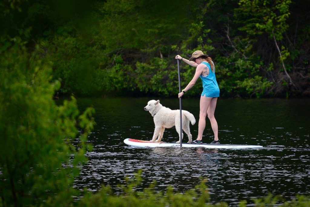 Week-end insolite avec votre chien : le top des activités