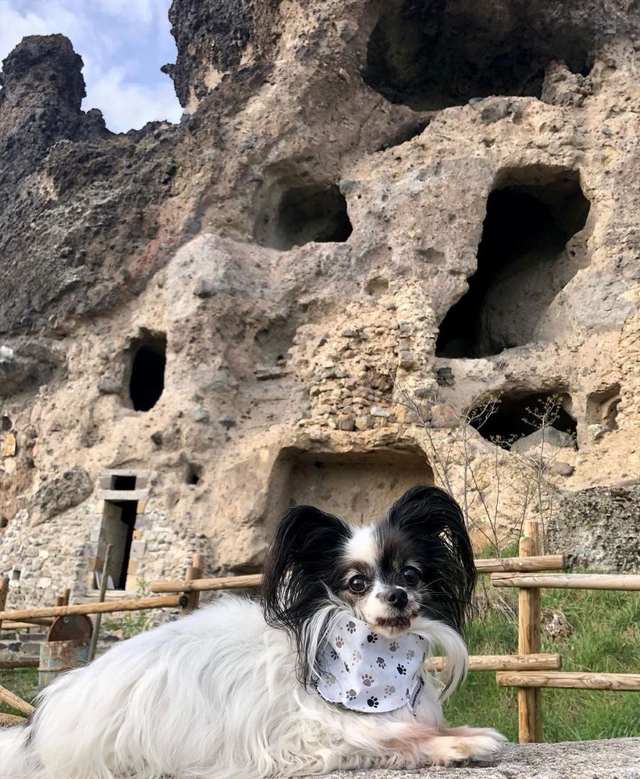 balade avec chien puy de dome grottes de perrier