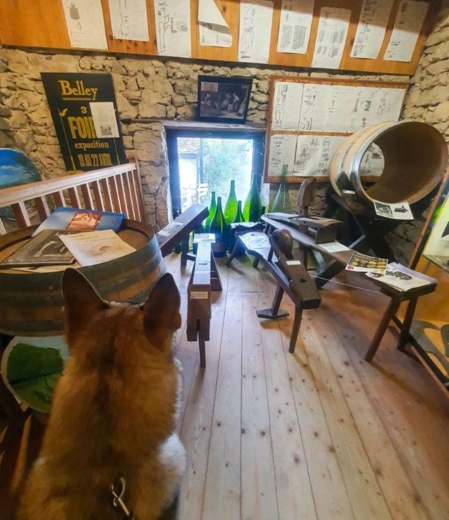 le caveau bugiste chien admis bugey tourisme avec chien