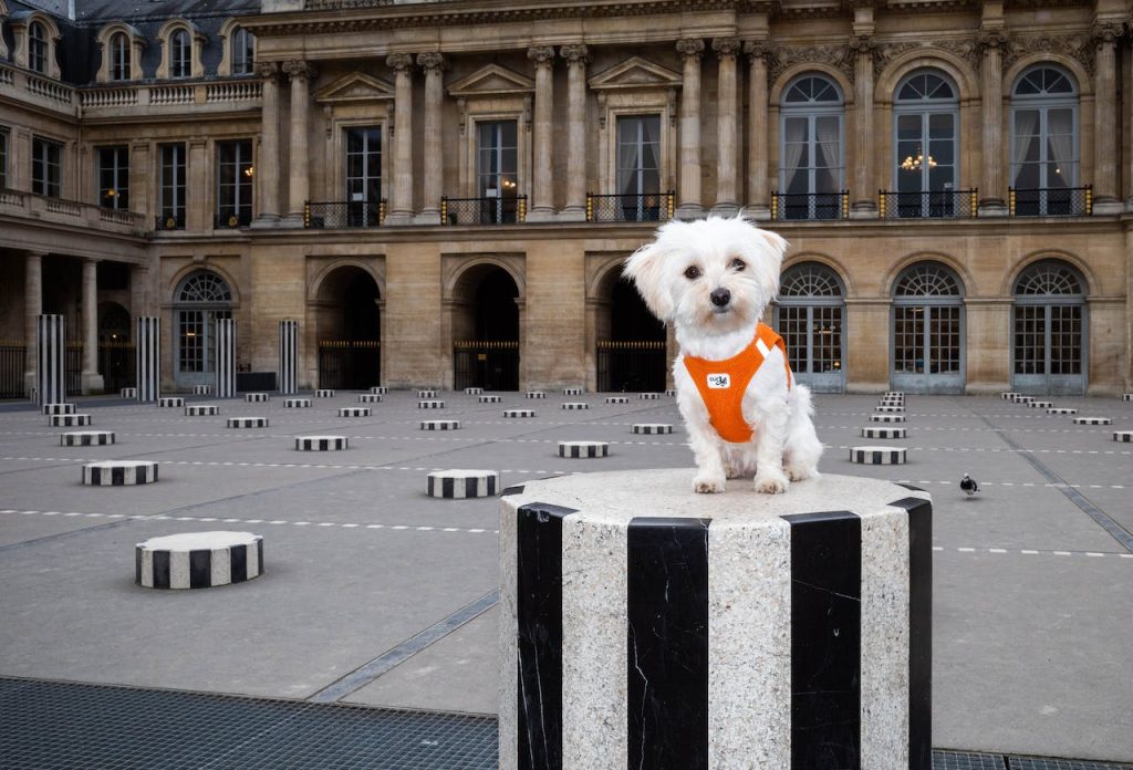 21 Parcs où Promener son Chien à Paris (avec et sans Laisse) !