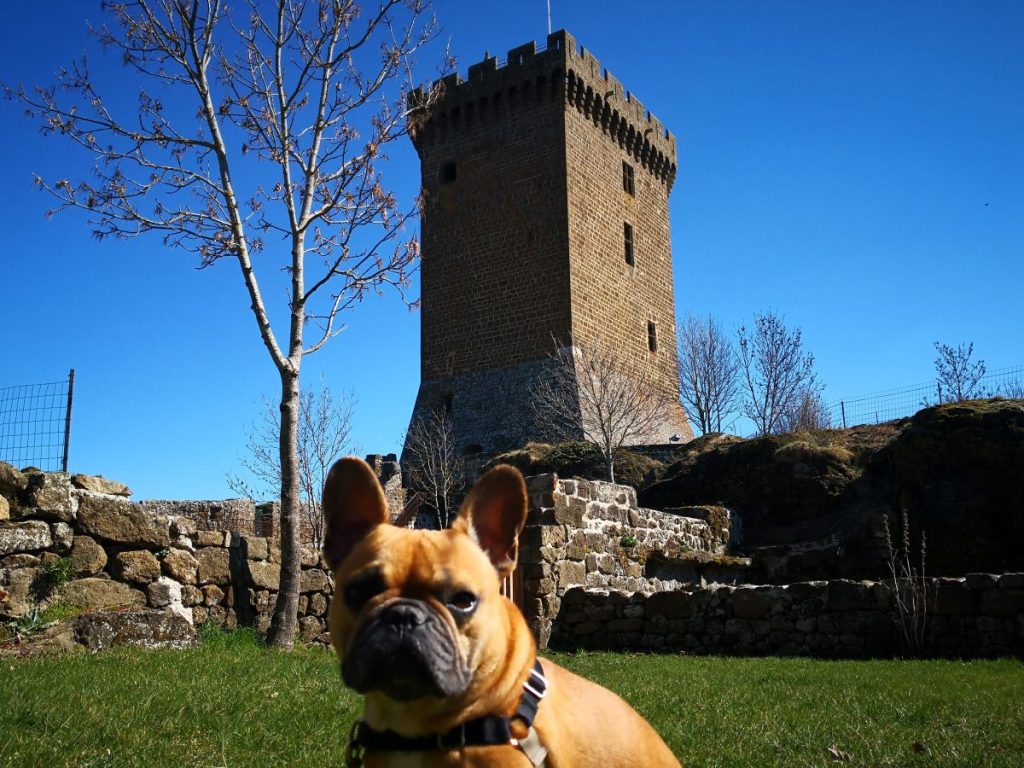 découvrir le puy en velay avec un chien