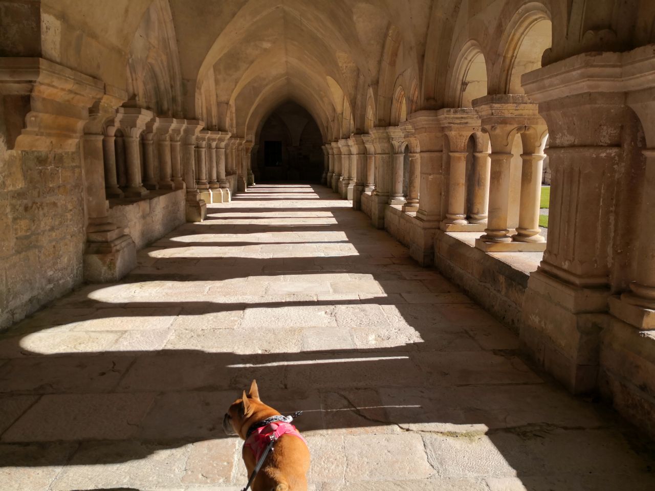 Abbaye de Fontenay visite avec chien en bourgogne