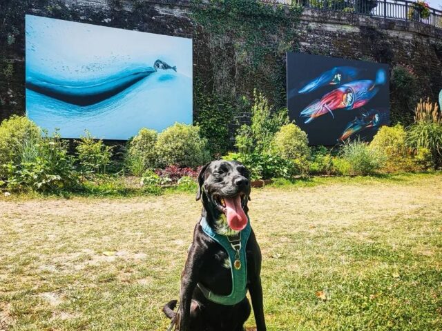 Festival Photo La Gacilly