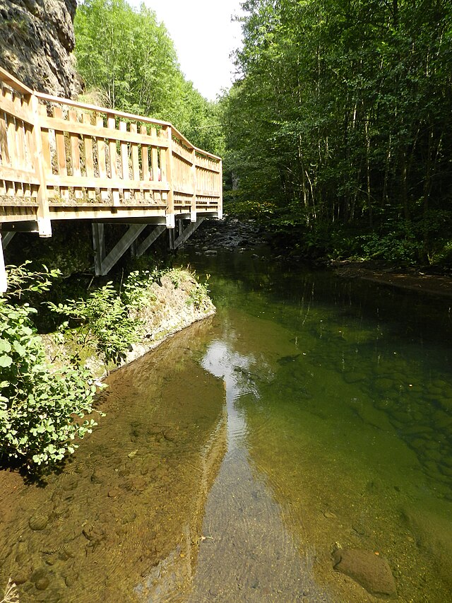 gorges de la jordanne chien accepté