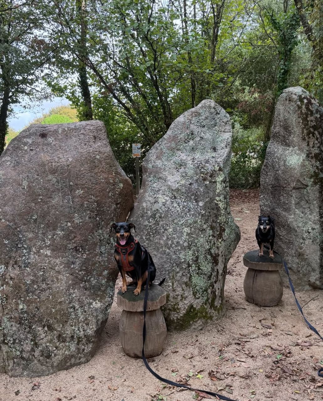 Préhisto'site du CAIRN chien accepté vendée