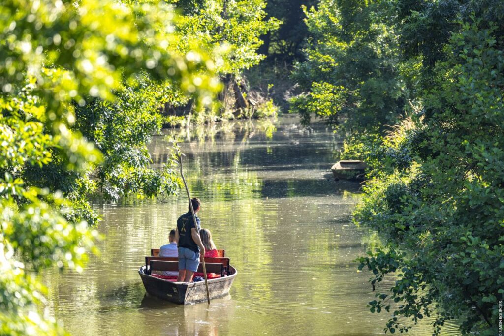 activité à faire avec un chien marais poitevin camping le marais sauvage