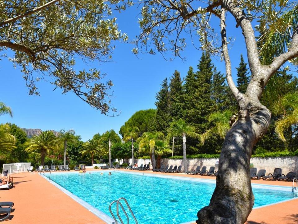 camping les pêcheurs chien accepté