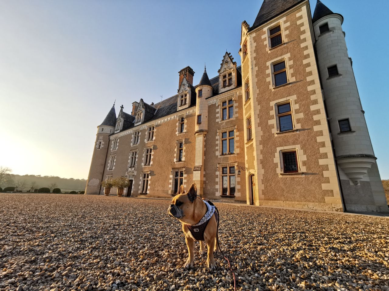château de montpoupon chien accepté