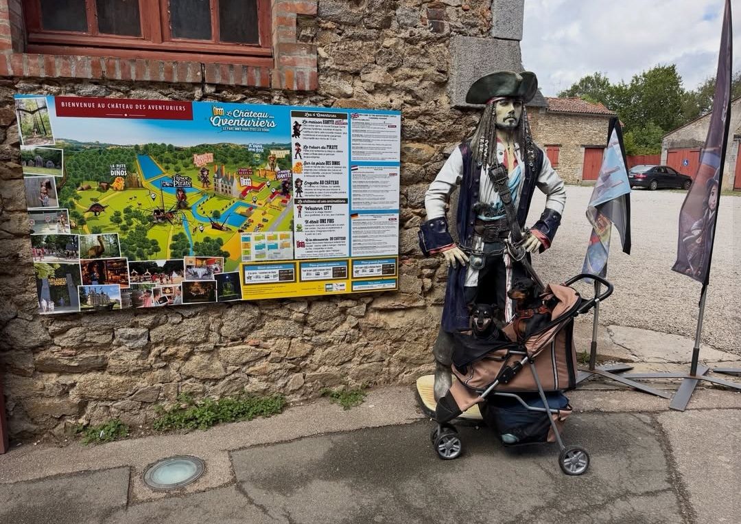 château des aventuriers chien accepté