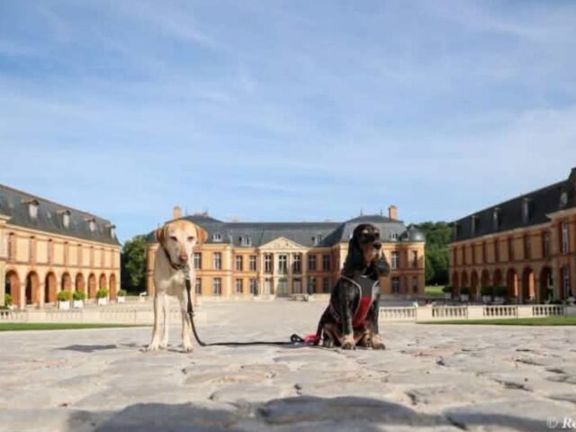 Domaine de Dampierre