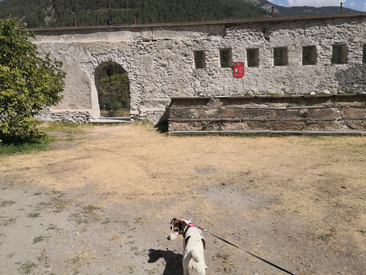 fort queyras chien accepté visite hautes-alpes