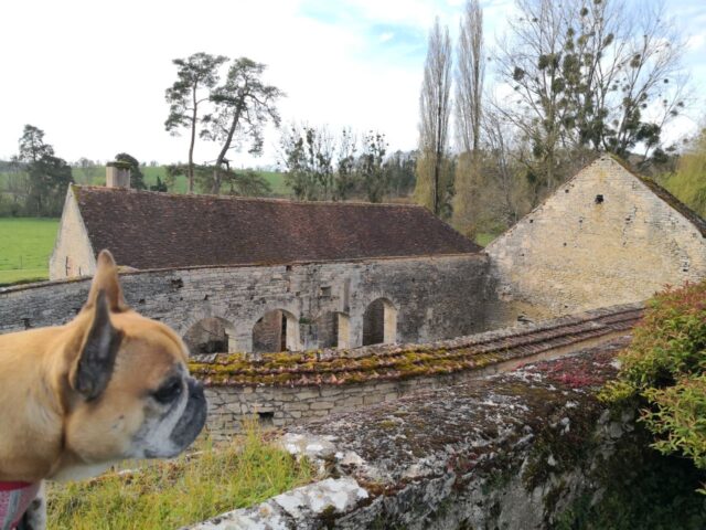 Grande Forge de Buffon