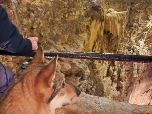 Grotte de la Luire