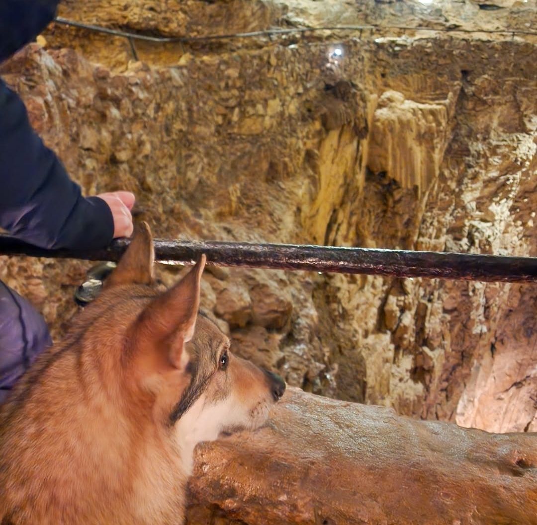 grotte de la luire chien accepté séjour vercors