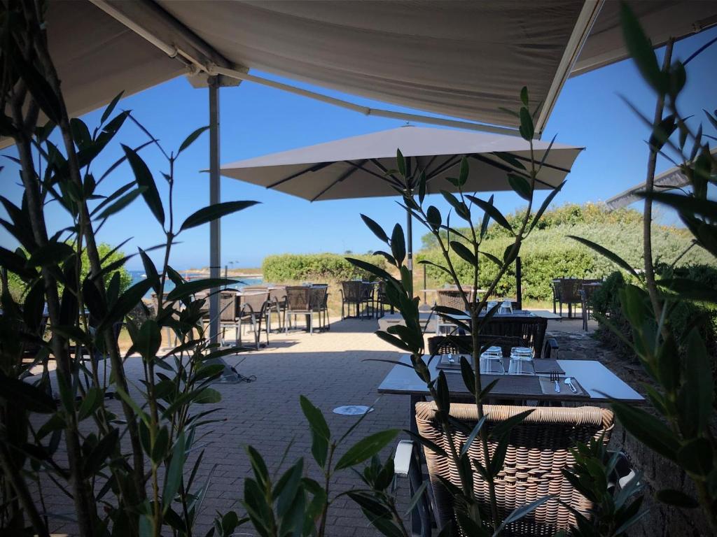 hôtel restaurant les mouettes chien accepté