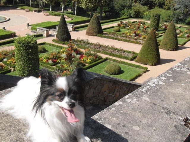 Jardin Wilson
