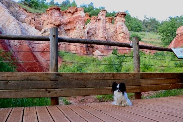 la vallée des saints randonnée avec chien puy-de-dôme