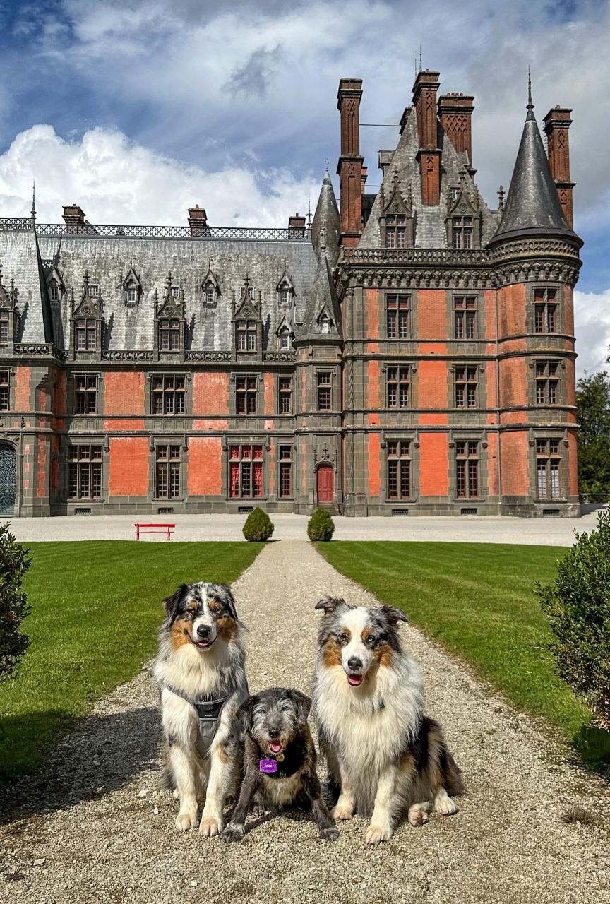 parc du domaine de trévarez chien accepté